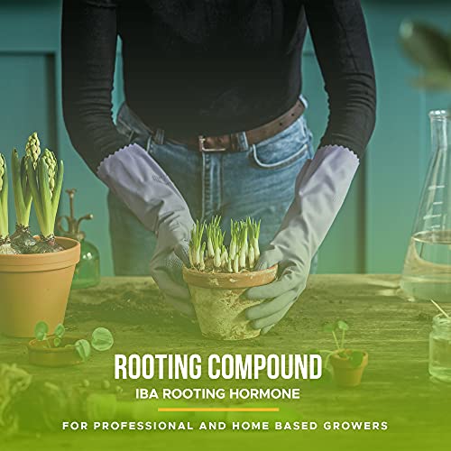 Rooting Gel for Cuttings – IBA Rooting Hormone - Cloning Gel for Strong Clones - Key to Plant Cloning - Midas Products Rooting Gel Hormone for Cuttings 4oz - for Professional and Home Based Growers 4 Rooting Gel for Cuttings – IBA Rooting Hormone - Cloning Gel for Strong Clones - Key to Plant Cloning - Midas Products Rooting Gel Hormone for Cuttings 4oz - for Professional and Home Based Growers - Image 4