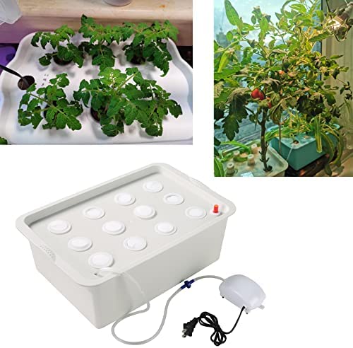 NATGAI Hydroponic System Growing Kit with Air Pump 12 Holes Soilless Cultivation Grow Box Garden Cabinet Box for Herbs, Lettuce, Vegetables 6 NATGAI Hydroponic System Growing Kit with Air Pump 12 Holes Soilless Cultivation Grow Box Garden Cabinet Box for Herbs, Lettuce, Vegetables - Image 6