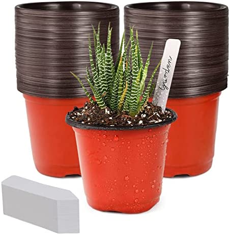 TDHDIKE 4" Plant Pots Small Plastic Plants Nursery Pot/Pots (100pcs) 1 plant pots