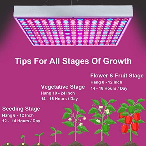 75W LED Grow Light for Indoor Plants Growing Lamp 225 LEDs UV IR Red Blue Full Spectrum Plant Lights Bulb Panel for Hydroponics Greenhouse Seedling Veg and Flower by Venoya 4 75W LED Grow Light for Indoor Plants Growing Lamp 225 LEDs UV IR Red Blue Full Spectrum Plant Lights Bulb Panel for Hydroponics Greenhouse Seedling Veg and Flower by Venoya - Image 4