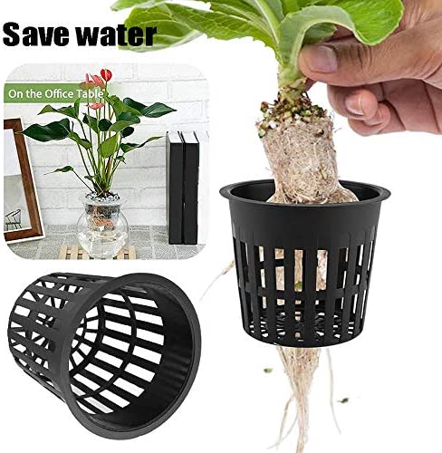 Baaxxango 50 PCS 3 Inch Heavy Duty Net Pots,Hydroponic Cups,Garden Slotted Mesh Net Cups,Plant Nursery Net Pots for Hydroponics,Slotted Mesh 3 Baaxxango 50 PCS 3 Inch Heavy Duty Net Pots,Hydroponic Cups,Garden Slotted Mesh Net Cups,Plant Nursery Net Pots for Hydroponics,Slotted Mesh - Image 3