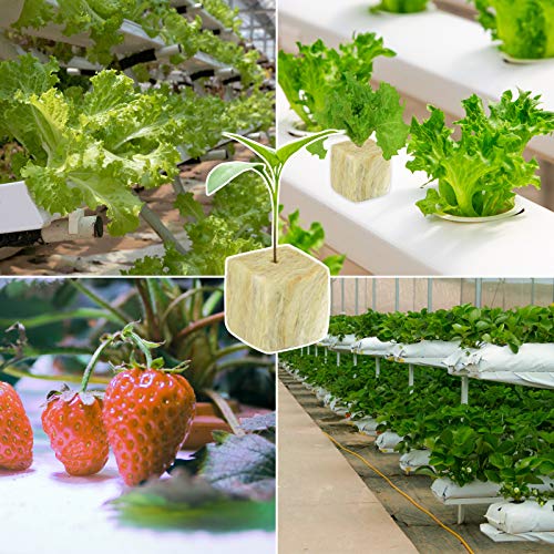 Halatool 1 Inch Garden Rockwool Stonewool Rockwool Grow Cubes Starter Plugs for Soilless Cultivation Clone Plants Hydroponics Germination Start (4 Sheets) 5 Halatool 1 Inch Garden Rockwool Stonewool Rockwool Grow Cubes Starter Plugs for Soilless Cultivation Clone Plants Hydroponics Germination Start (4 Sheets) - Image 5