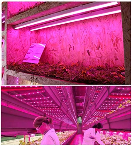 Monios-L T5 Grow Lights 4ft, LED Plant Grow Light, 120W (6 x 20W), LED Grow Light Strip for Greenhouse, Plant Grow Shelf, Plug and Play Easy Installation, 6-Pack 7 Monios-L T5 Grow Lights 4ft, LED Plant Grow Light, 120W (6 x 20W), LED Grow Light Strip for Greenhouse, Plant Grow Shelf, Plug and Play Easy Installation, 6-Pack - Image 7