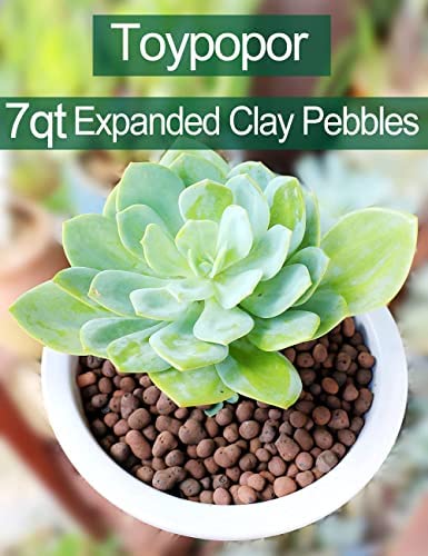 Toypopor 7qt Hydroponic Clay Pebbles, 8mm-12mm, Natural Organic Expanded Grow Media for Hydroponics, Drainage, Decoration, Aquaponics and Other Gardening Essentials 2 Toypopor 7qt Hydroponic Clay Pebbles, 8mm-12mm, Natural Organic Expanded Grow Media for Hydroponics, Drainage, Decoration, Aquaponics and Other Gardening Essentials - Image 2