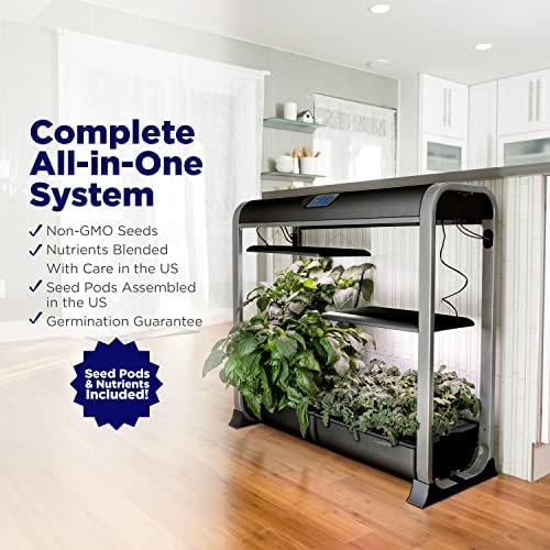 AeroGarden Farm 24Basic with Salad Bar Seed Pod Kit - Indoor Garden with LED Grow Light, Black 8 AeroGarden Farm 24Basic with Salad Bar Seed Pod Kit - Indoor Garden with LED Grow Light, Black - Image 8