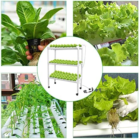 Hydroponic Grow Kit, Hydroponics Pipe Growing System 3 Layer 108 Plant Sites 12 PVC Pipes Vegetable Growing Tools for Leafy Vegetables 2 Hydroponic Grow Kit, Hydroponics Pipe Growing System 3 Layer 108 Plant Sites 12 PVC Pipes Vegetable Growing Tools for Leafy Vegetables - Image 2