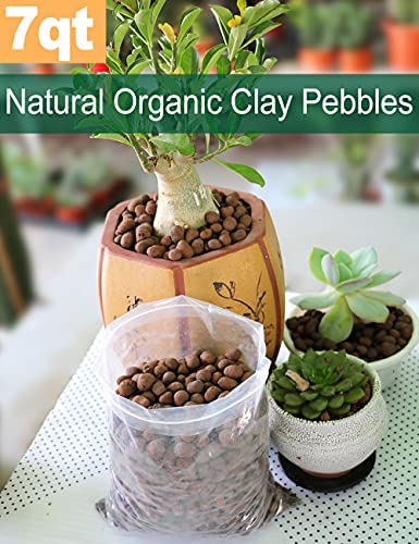 Toypopor 7qt Hydroponic Clay Pebbles, 8mm-12mm, Natural Organic Expanded Grow Media for Hydroponics, Drainage, Decoration, Aquaponics and Other Gardening Essentials 3 Toypopor 7qt Hydroponic Clay Pebbles, 8mm-12mm, Natural Organic Expanded Grow Media for Hydroponics, Drainage, Decoration, Aquaponics and Other Gardening Essentials - Image 3