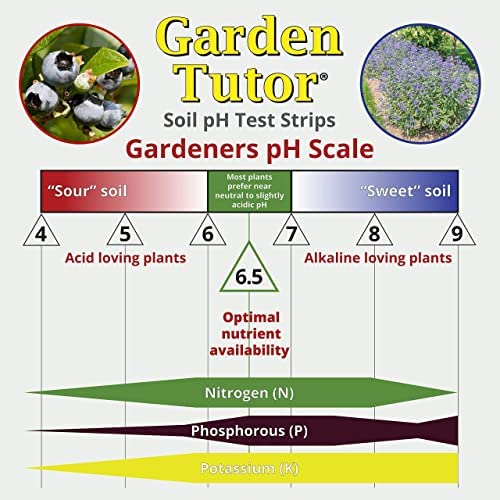 Garden Tutor Soil pH Test Kit (3.5-9 Range) | 100 Soil pH Test Strips 6 Garden Tutor Soil pH Test Kit (3.5-9 Range) | 100 Soil pH Test Strips - Image 6