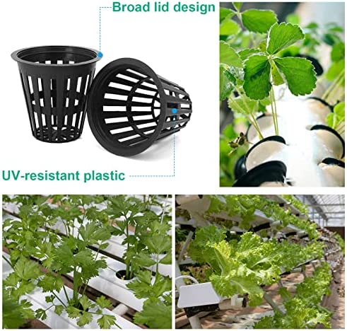 Business King 2 inch Net Pots for Hydroponics 50 Packs with Plant Lable Heavy Duty, Reusable, UV Resistant Slotted Mesh Net Cups for Tower Gardens, Clone Machine, Aeroponics System (2 inch 50 Packs) 3 Business King 2 inch Net Pots for Hydroponics 50 Packs with Plant Lable Heavy Duty, Reusable, UV Resistant Slotted Mesh Net Cups for Tower Gardens, Clone Machine, Aeroponics System (2 inch 50 Packs) - Image 3