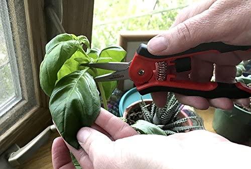 Corona FS 4120 Hydroponic Micro Snip Scissors 9 Corona FS 4120 Hydroponic Micro Snip Scissors - Image 9
