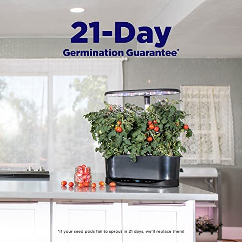 AeroGarden Bounty - Indoor Garden with LED Grow Light, WiFi and Alexa Compatible, Black 3 AeroGarden Bounty - Indoor Garden with LED Grow Light, WiFi and Alexa Compatible, Black - Image 3