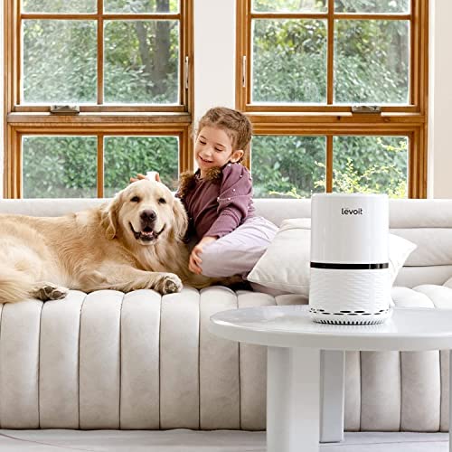 LEVOIT Air Purifiers for Home, H13 True HEPA Filter for Smoke, Dust, Mold, and Pollen in Bedroom, Ozone Free, Filtration System Odor Eliminators for Office with Optional Night Light, 1 Pack, White 11 LEVOIT Air Purifiers for Home, H13 True HEPA Filter for Smoke, Dust, Mold, and Pollen in Bedroom, Ozone Free, Filtration System Odor Eliminators for Office with Optional Night Light, 1 Pack, White - Image 11
