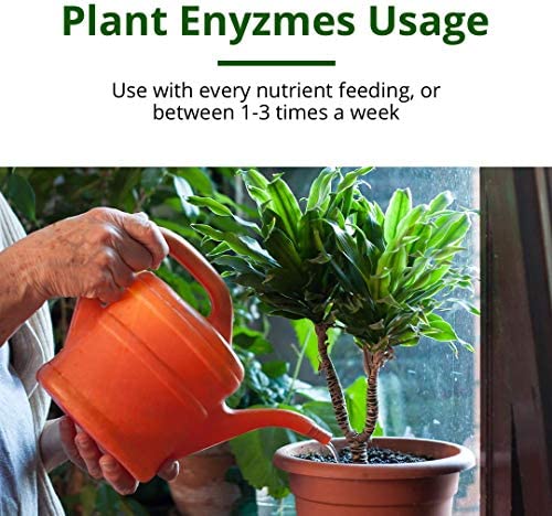 Humboldts Secret Plant Enzymes – Best Plant and Root Enzymes – 7000 Active Units of Enzyme per Milliliter – Quality Plant Food and Plant Fertilizer – Highly Concentrated – 8 Ounce 4 Humboldts Secret Plant Enzymes – Best Plant and Root Enzymes – 7000 Active Units of Enzyme per Milliliter – Quality Plant Food and Plant Fertilizer – Highly Concentrated – 8 Ounce - Image 4
