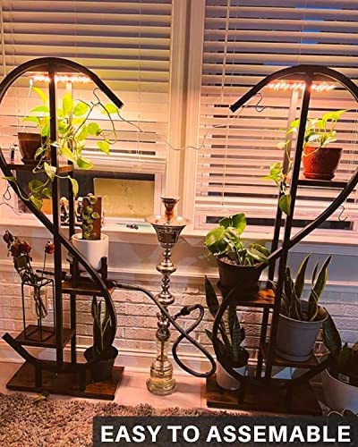 DOMMIA Grow Lights for Indoor Plants, 20W Full Spectrum LED Grow Light with Auto ON & Off Timer, 132 LEDs Sunlike Plant Light for Hydroponics, Succulents & More, Easy to Assemble(2Pcs) 5 DOMMIA Grow Lights for Indoor Plants, 20W Full Spectrum LED Grow Light with Auto ON & Off Timer, 132 LEDs Sunlike Plant Light for Hydroponics, Succulents & More, Easy to Assemble(2Pcs) - Image 5