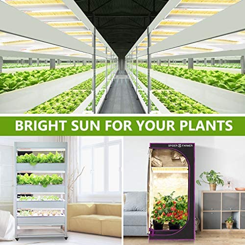 SPIDER FARMER SF-600 LED Grow Light 2x4 ft Coverage Sunlike Full Spectrum Plant Growing Lamp for Indoor Plants Hydroponics Seeding Veg Flower Energy Saving & High Efficiency Grow Lights 384 Diodes 7 SPIDER FARMER SF-600 LED Grow Light 2x4 ft Coverage Sunlike Full Spectrum Plant Growing Lamp for Indoor Plants Hydroponics Seeding Veg Flower Energy Saving & High Efficiency Grow Lights 384 Diodes - Image 7