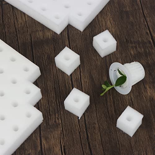 XIDAJIE 400 Pcs Hydroponic Sponges Planting Gardening Tool Soilless Cultivation Seedling Sponges Cultivation Sponge Greenhouse for Small Bud Growth & Grow Seedlings 6 XIDAJIE 400 Pcs Hydroponic Sponges Planting Gardening Tool Soilless Cultivation Seedling Sponges Cultivation Sponge Greenhouse for Small Bud Growth & Grow Seedlings - Image 6