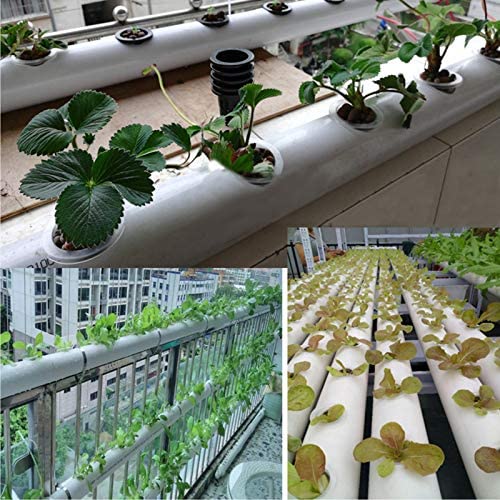 Jucoan 40 Pack 4 Inch Net Pots, Garden Slotted Mesh Net Cups, Plastic Orchids Pot Plant Nursery Basket with Wide Lip for Aquaponics, Hydroponics 5 Jucoan 40 Pack 4 Inch Net Pots, Garden Slotted Mesh Net Cups, Plastic Orchids Pot Plant Nursery Basket with Wide Lip for Aquaponics, Hydroponics - Image 5
