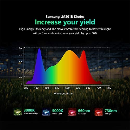 BESTVA Dimmable Pro4000W LED Grow Light Built in High Yield Diodes and MeanWell Driver Full Spectrum Grow Lamp for 4x4ft Coverage Greenhouse Hydroponic Indoor Plants Veg and Flower 4 BESTVA Dimmable Pro4000W LED Grow Light Built in High Yield Diodes and MeanWell Driver Full Spectrum Grow Lamp for 4x4ft Coverage Greenhouse Hydroponic Indoor Plants Veg and Flower - Image 4