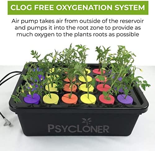 Psycloner Clone Machine, Hydroponics System, Cloner for Plant Cuttings 5 Psycloner Clone Machine, Hydroponics System, Cloner for Plant Cuttings - Image 5