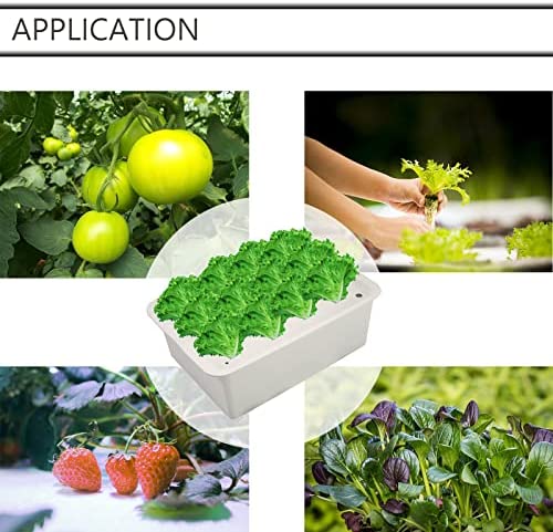 NATGAI Hydroponic System Growing Kit with Air Pump 12 Holes Soilless Cultivation Grow Box Garden Cabinet Box for Herbs, Lettuce, Vegetables 5 NATGAI Hydroponic System Growing Kit with Air Pump 12 Holes Soilless Cultivation Grow Box Garden Cabinet Box for Herbs, Lettuce, Vegetables - Image 5