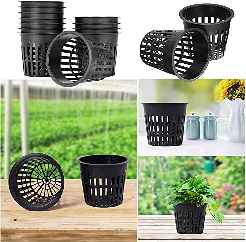 Baaxxango 50 PCS 3 Inch Heavy Duty Net Pots,Hydroponic Cups,Garden Slotted Mesh Net Cups,Plant Nursery Net Pots for Hydroponics,Slotted Mesh 4 Baaxxango 50 PCS 3 Inch Heavy Duty Net Pots,Hydroponic Cups,Garden Slotted Mesh Net Cups,Plant Nursery Net Pots for Hydroponics,Slotted Mesh - Image 4