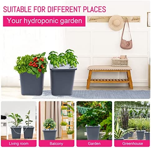 Lawnful 2 Hydroponic Buckets Kit for Plants, Hydroponics Growing System for Herbs/Tomato/Vegetables, DWC System with Air Pump & Germination Tray (Complete Indoor Hydroponic Gardening Supplies) 3 Lawnful 2 Hydroponic Buckets Kit for Plants, Hydroponics Growing System for Herbs/Tomato/Vegetables, DWC System with Air Pump & Germination Tray (Complete Indoor Hydroponic Gardening Supplies) - Image 3