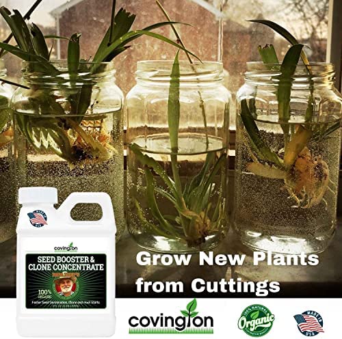 Clone & Seed Starter Solution 8 Clone & Seed Starter Solution - Image 8