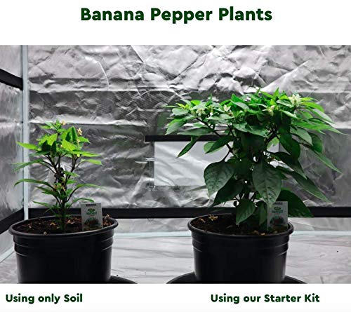 Humboldts Secret Starter Kit Pack – World's Best Indoor & Outdoor Plant Fertilizer and Nutrient System: Base A & B – Golden Tree – Flower Stacker – Plant Enzymes – CalMag & Iron 8 Humboldts Secret Starter Kit Pack – World's Best Indoor & Outdoor Plant Fertilizer and Nutrient System: Base A & B – Golden Tree – Flower Stacker – Plant Enzymes – CalMag & Iron - Image 8