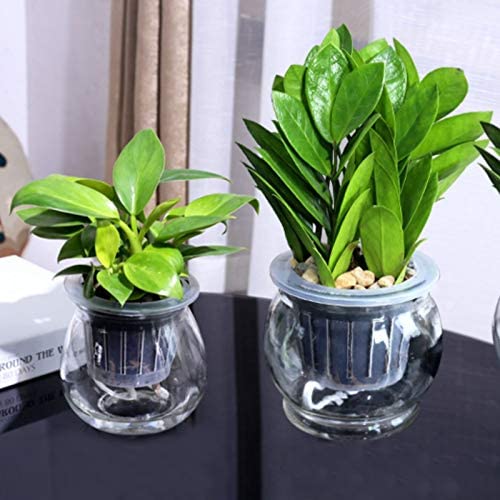 61Pcs Hydroponics Mesh Net Cup Kit - 20 Packs 3 Inches Slotted Mesh Net Pot Cups, 21Packs 1.7x1.7x1.7Inch Stonewool Starter Plugs, 20 Article Self Watering Cotton Wick Cord for Hydroponics 4 61Pcs Hydroponics Mesh Net Cup Kit - 20 Packs 3 Inches Slotted Mesh Net Pot Cups, 21Packs 1.7x1.7x1.7Inch Stonewool Starter Plugs, 20 Article Self Watering Cotton Wick Cord for Hydroponics - Image 4