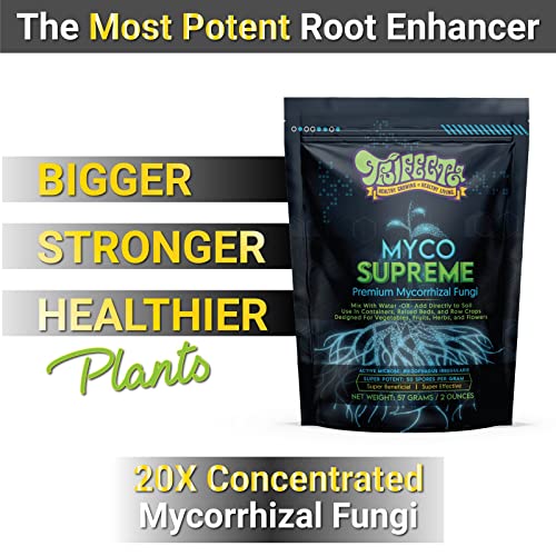 Mycorrhizal Fungi Root Enhancer for Plants - Bigger, Stronger, Healthier Roots, Use in Soil and Mycorrhizae Hydroponic - Super 20X Concentrated - Trifecta Myco Supreme (57 Grams / 2 OZ) 2 Mycorrhizal Fungi Root Enhancer for Plants - Bigger, Stronger, Healthier Roots, Use in Soil and Mycorrhizae Hydroponic - Super 20X Concentrated - Trifecta Myco Supreme (57 Grams / 2 OZ) - Image 2