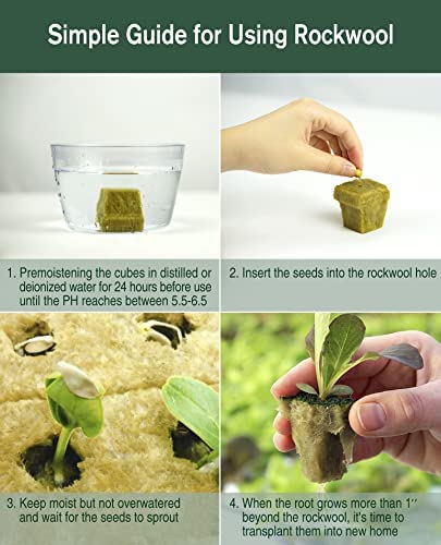 SKINNYBUNNY Rockwool Cubes 1 inch, Rock Wool Planting Cubes with Holes 4 SKINNYBUNNY Rockwool Cubes 1 inch, Rock Wool Planting Cubes with Holes - Image 4
