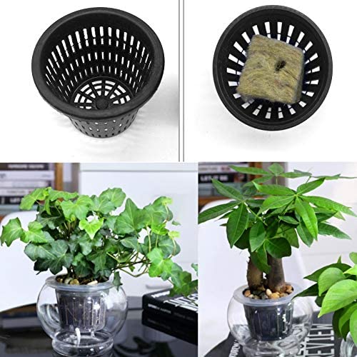 61Pcs Hydroponics Mesh Net Cup Kit - 20 Packs 3 Inches Slotted Mesh Net Pot Cups, 21Packs 1.7x1.7x1.7Inch Stonewool Starter Plugs, 20 Article Self Watering Cotton Wick Cord for Hydroponics 3 61Pcs Hydroponics Mesh Net Cup Kit - 20 Packs 3 Inches Slotted Mesh Net Pot Cups, 21Packs 1.7x1.7x1.7Inch Stonewool Starter Plugs, 20 Article Self Watering Cotton Wick Cord for Hydroponics - Image 3