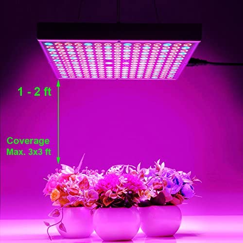 75W LED Grow Light for Indoor Plants Growing Lamp 225 LEDs UV IR Red Blue Full Spectrum Plant Lights Bulb Panel for Hydroponics Greenhouse Seedling Veg and Flower by Venoya 3 75W LED Grow Light for Indoor Plants Growing Lamp 225 LEDs UV IR Red Blue Full Spectrum Plant Lights Bulb Panel for Hydroponics Greenhouse Seedling Veg and Flower by Venoya - Image 3