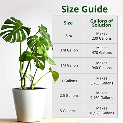 Humboldts Secret Plant Enzymes – Best Plant and Root Enzymes – 7000 Active Units of Enzyme per Milliliter – Quality Plant Food and Plant Fertilizer – Highly Concentrated – 8 Ounce 3 Humboldts Secret Plant Enzymes – Best Plant and Root Enzymes – 7000 Active Units of Enzyme per Milliliter – Quality Plant Food and Plant Fertilizer – Highly Concentrated – 8 Ounce - Image 3
