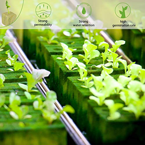Halatool 1 Inch Garden Rockwool Stonewool Rockwool Grow Cubes Starter Plugs for Soilless Cultivation Clone Plants Hydroponics Germination Start (4 Sheets) 4 Halatool 1 Inch Garden Rockwool Stonewool Rockwool Grow Cubes Starter Plugs for Soilless Cultivation Clone Plants Hydroponics Germination Start (4 Sheets) - Image 4