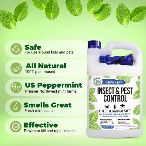 Mighty Mint Gallon (128 oz) Insect and Pest Control Peppermint Oil - Natural Spray for Spiders, Ants, and More 2 Mighty Mint Gallon (128 oz) Insect and Pest Control Peppermint Oil - Natural Spray for Spiders, Ants, and More - Image 2