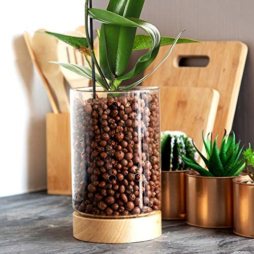 Pot & Pebble Glass Indoor Planter with Wooden Base & Water Level Control: Transparent for Root Visibility (Suitable for Semi-Hydroponic or General Use) Easier Plant Care, Less Watering & More Growth! 8 Pot & Pebble Glass Indoor Planter with Wooden Base & Water Level Control: Transparent for Root Visibility (Suitable for Semi-Hydroponic or General Use) Easier Plant Care, Less Watering & More Growth! - Image 8
