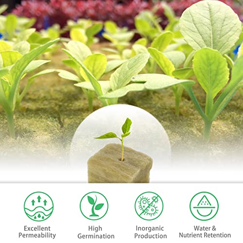 Future Way 1.5" Rockwool Cubes with Holes, Starter Plugs for Hydroponics, Easy to Transplant and Cut by Scissors, 4 Sheets of 49 Plugs, 196 Plugs Total 4 Future Way 1.5" Rockwool Cubes with Holes, Starter Plugs for Hydroponics, Easy to Transplant and Cut by Scissors, 4 Sheets of 49 Plugs, 196 Plugs Total - Image 4