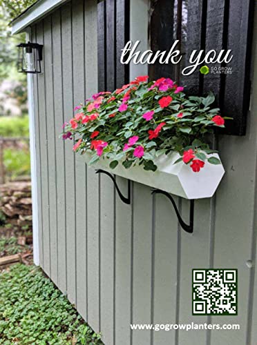 Go Grow Hydroponic Nutrients for All Veggies, Leafy Greens, Herbs and Flowers 1 Gallon - 10 Pack (10 Gallons) 9 Go Grow Hydroponic Nutrients for All Veggies, Leafy Greens, Herbs and Flowers 1 Gallon - 10 Pack (10 Gallons) - Image 9