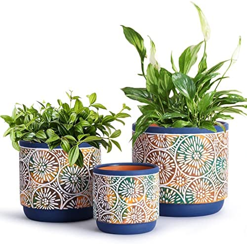 DeeCoo 3 Piece Ceramic Plant pots Indoor Pots Set with Drainage Holes, 5.7/4.7/3.5/inch, Modern Decorative pots Outdoor Plants Lilies, Cacti, Succulents, Snakes, and Bamboo (Blue) 1 plant pots