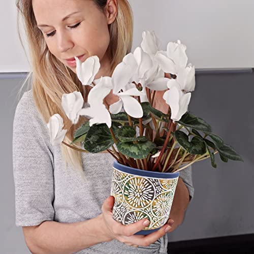 DeeCoo 3 Piece Ceramic Plant pots Indoor Pots Set with Drainage Holes, 5.7/4.7/3.5/inch, Modern Decorative pots Outdoor Plants Lilies, Cacti, Succulents, Snakes, and Bamboo (Blue) 6 DeeCoo 3 Piece Ceramic Plant pots Indoor Pots Set with Drainage Holes, 5.7/4.7/3.5/inch, Modern Decorative pots Outdoor Plants Lilies, Cacti, Succulents, Snakes, and Bamboo (Blue) - Image 6