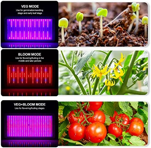 KOSCHEAL 2000W LED Grow Light Full Spectrum with Samsung LM301B and UV LEDs Daisy Chain Grow Lights for Indoor Plants 5 KOSCHEAL 2000W LED Grow Light Full Spectrum with Samsung LM301B and UV LEDs Daisy Chain Grow Lights for Indoor Plants - Image 5