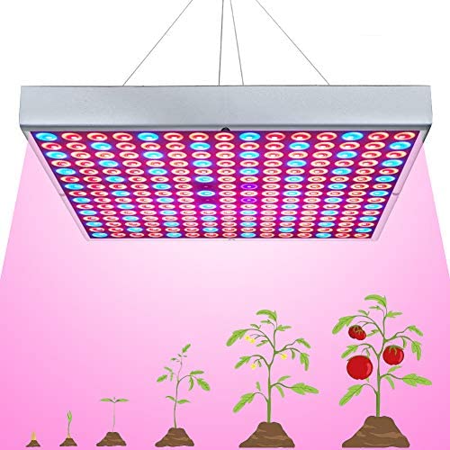 75W LED Grow Light for Indoor Plants Growing Lamp 225 LEDs UV IR Red Blue Full Spectrum Plant Lights Bulb Panel for Hydroponics Greenhouse Seedling Veg and Flower by Venoya 1 hydroponic grow lights led