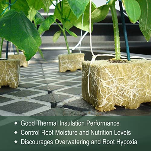 SKINNYBUNNY Rockwool Cubes 1 inch, Rock Wool Planting Cubes with Holes 6 SKINNYBUNNY Rockwool Cubes 1 inch, Rock Wool Planting Cubes with Holes - Image 6