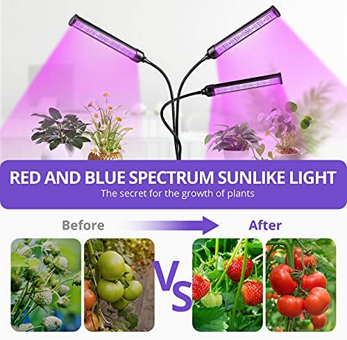 Grow Light for Indoor Plants - Adjustable Gooseneck Growing Light Strip W/9 Dimmable Red Blue Spectrum 3 Modes Auto ON/Off 3/9/12H Timer for Flower Greenhouse Veg Hydroponic Succulent Potted Growth 4 Grow Light for Indoor Plants - Adjustable Gooseneck Growing Light Strip W/9 Dimmable Red Blue Spectrum 3 Modes Auto ON/Off 3/9/12H Timer for Flower Greenhouse Veg Hydroponic Succulent Potted Growth - Image 4