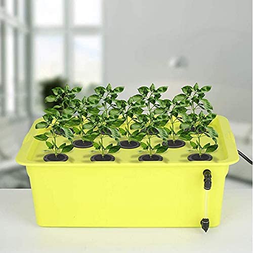 72 Pack Cloning Collars Inserts Premium Grade Foam, Better Than Neoprene for Hydroponics Plant Germination in DIY Cloner & Clone Machines, Fits 2 Inch Net Pots 5 72 Pack Cloning Collars Inserts Premium Grade Foam, Better Than Neoprene for Hydroponics Plant Germination in DIY Cloner & Clone Machines, Fits 2 Inch Net Pots - Image 5