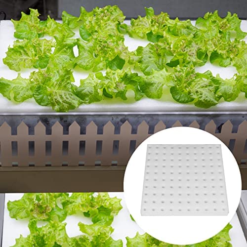 XIDAJIE 400 Pcs Hydroponic Sponges Planting Gardening Tool Soilless Cultivation Seedling Sponges Cultivation Sponge Greenhouse for Small Bud Growth & Grow Seedlings 7 XIDAJIE 400 Pcs Hydroponic Sponges Planting Gardening Tool Soilless Cultivation Seedling Sponges Cultivation Sponge Greenhouse for Small Bud Growth & Grow Seedlings - Image 7
