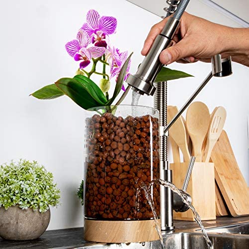 Pot & Pebble Glass Indoor Planter with Wooden Base & Water Level Control: Transparent for Root Visibility (Suitable for Semi-Hydroponic or General Use) Easier Plant Care, Less Watering & More Growth! 6 Pot & Pebble Glass Indoor Planter with Wooden Base & Water Level Control: Transparent for Root Visibility (Suitable for Semi-Hydroponic or General Use) Easier Plant Care, Less Watering & More Growth! - Image 6