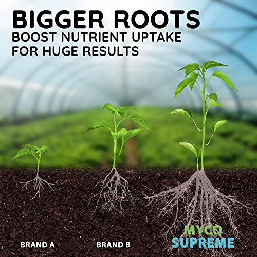 Mycorrhizal Fungi Root Enhancer for Plants - Bigger, Stronger, Healthier Roots, Use in Soil and Mycorrhizae Hydroponic - Super 20X Concentrated - Trifecta Myco Supreme (57 Grams / 2 OZ) 7 Mycorrhizal Fungi Root Enhancer for Plants - Bigger, Stronger, Healthier Roots, Use in Soil and Mycorrhizae Hydroponic - Super 20X Concentrated - Trifecta Myco Supreme (57 Grams / 2 OZ) - Image 7