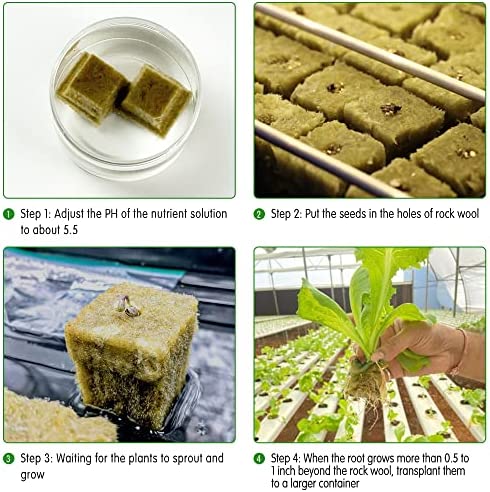 CastleGreens 1inch Rockwool Grow Cubes, Starter Plugs for Plant Growing, Great for Rooting, Cuttings, Clone Plants, Germination Start Seeds, Ideal Hydroponic Grow Media(4 Sheets, 200 Plugs Total) 3 CastleGreens 1inch Rockwool Grow Cubes, Starter Plugs for Plant Growing, Great for Rooting, Cuttings, Clone Plants, Germination Start Seeds, Ideal Hydroponic Grow Media(4 Sheets, 200 Plugs Total) - Image 3